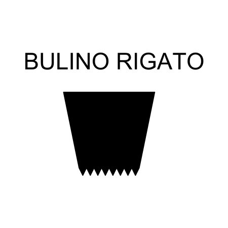 17226305284419-bulinorigato12iiusomanualebevellinesgraver12ii